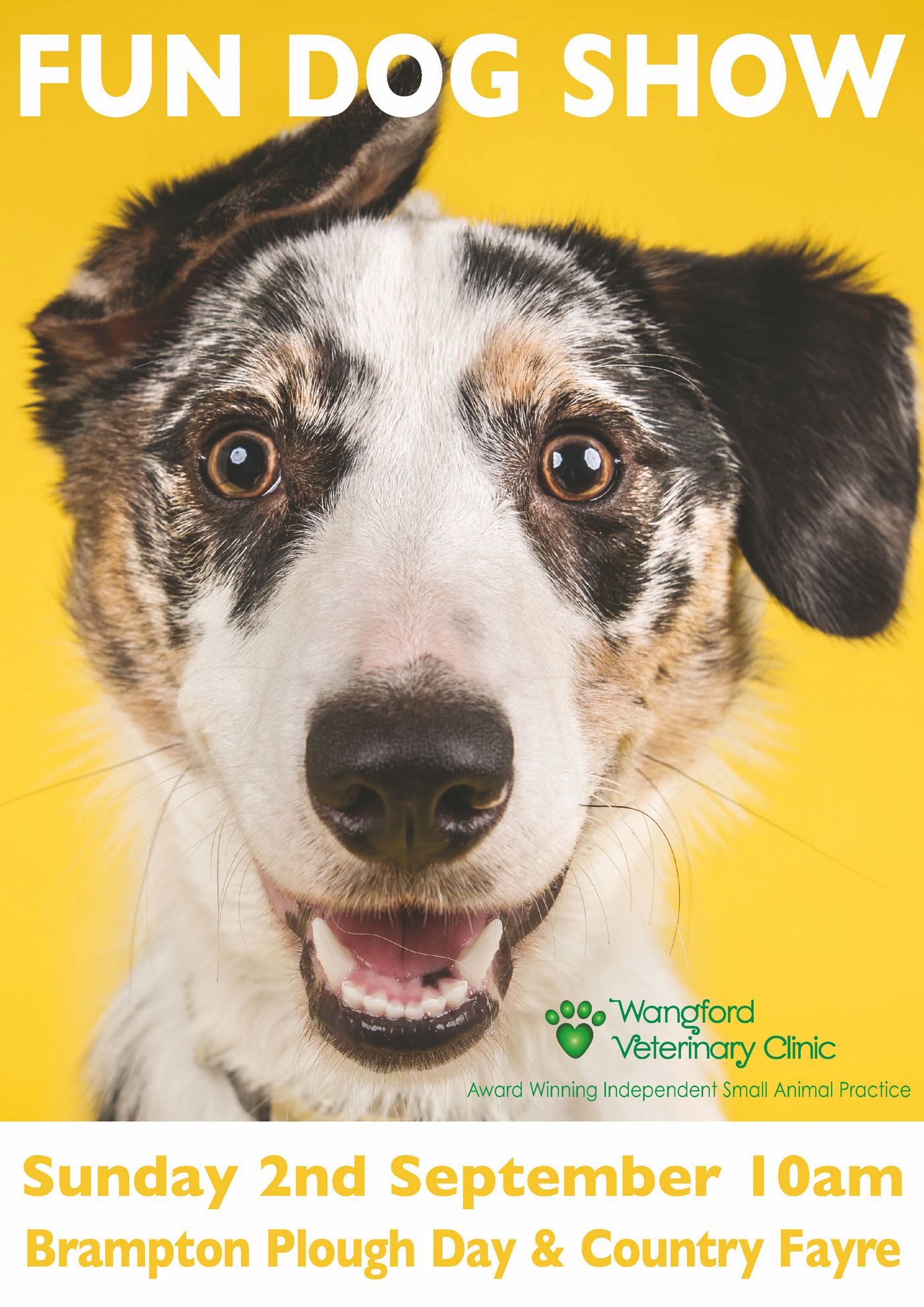 Brampton Fun Dog Show